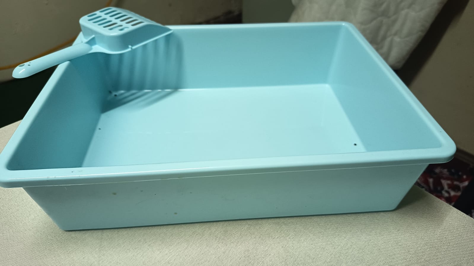 Arenero para Gatos 35x28x9 cm