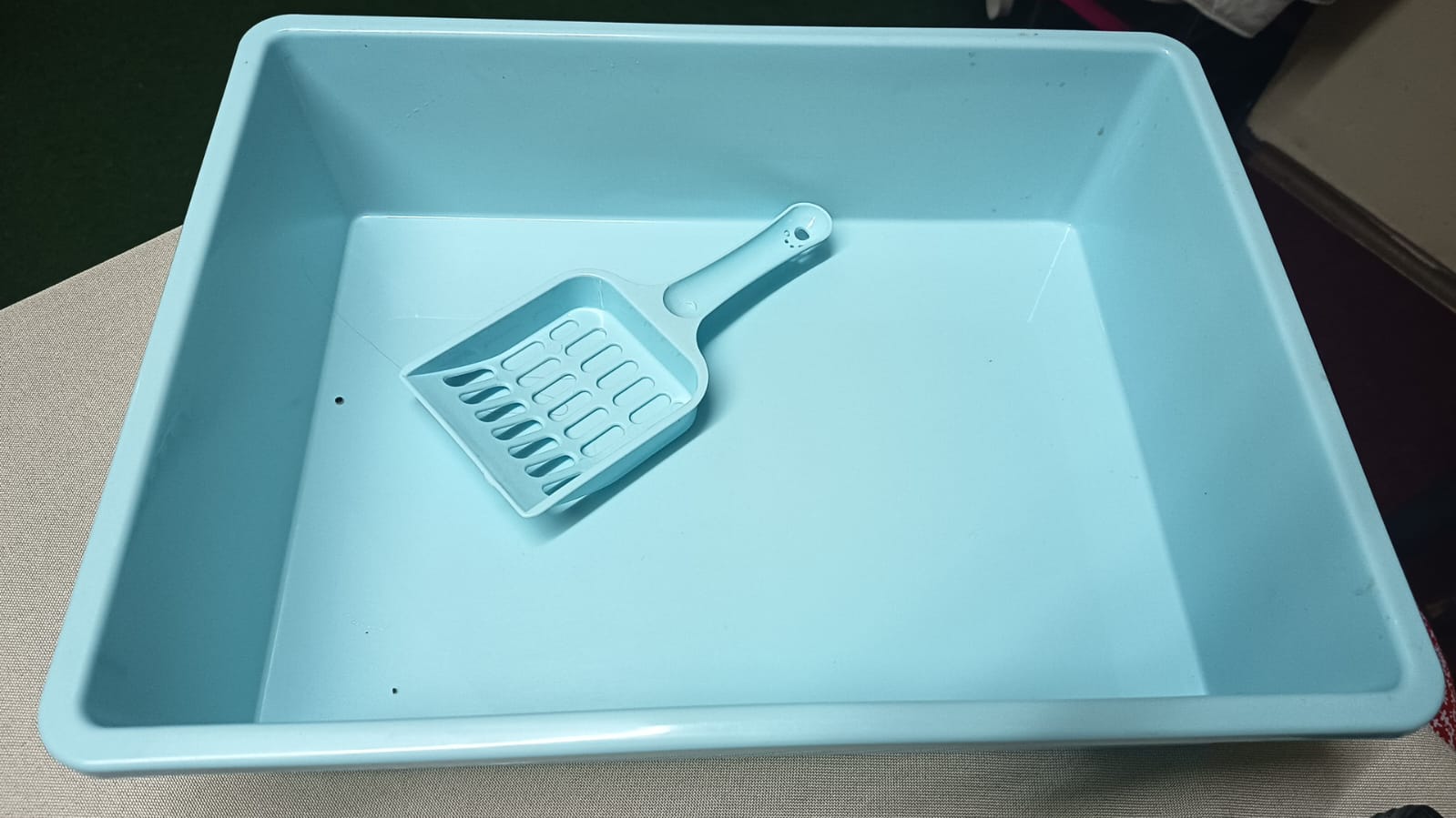 Arenero para Gatos 35x28x9 cm